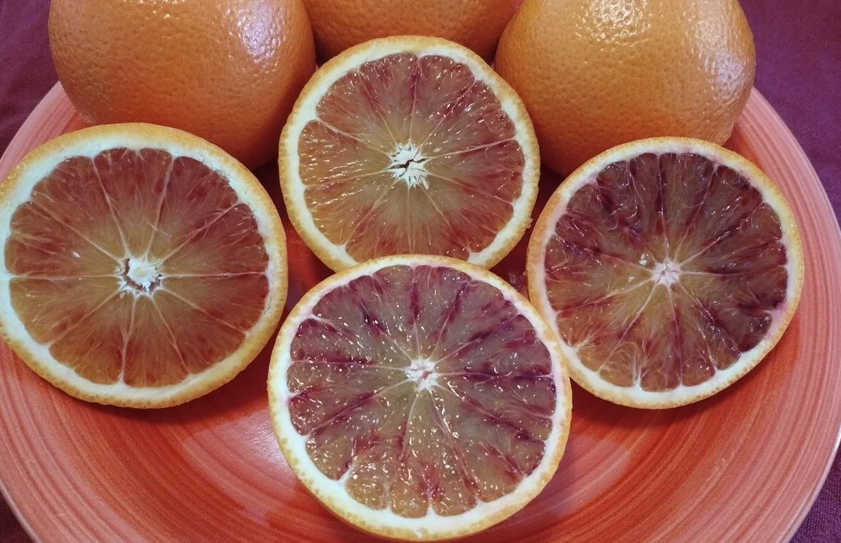 Arancia rossa di Sicilia IGP