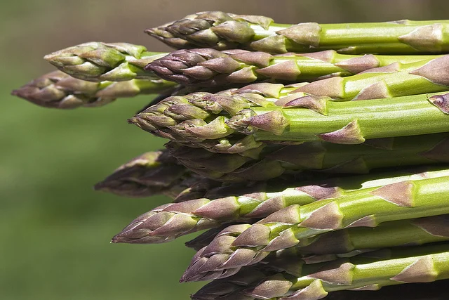 Asparagus: A Springtime Delight from Sicily