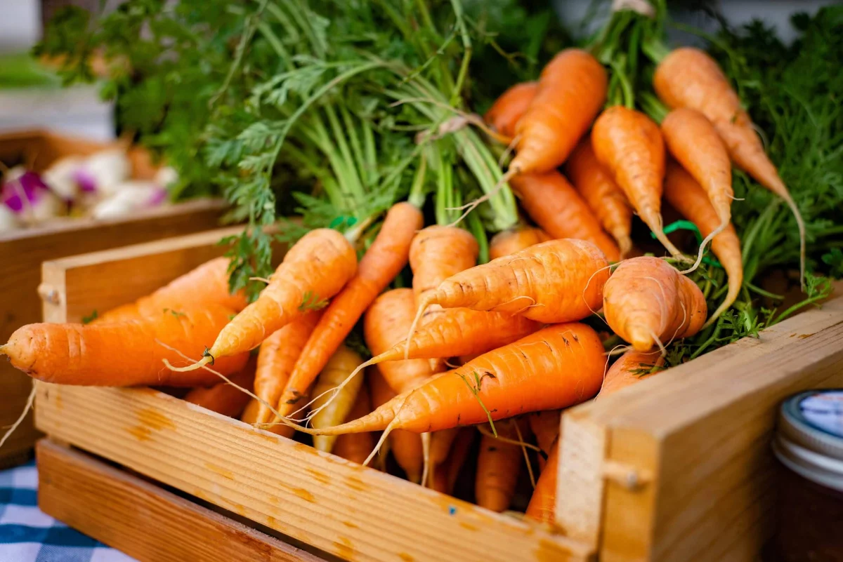 Carrots: Vibrant, Crunchy and Full of Goodness