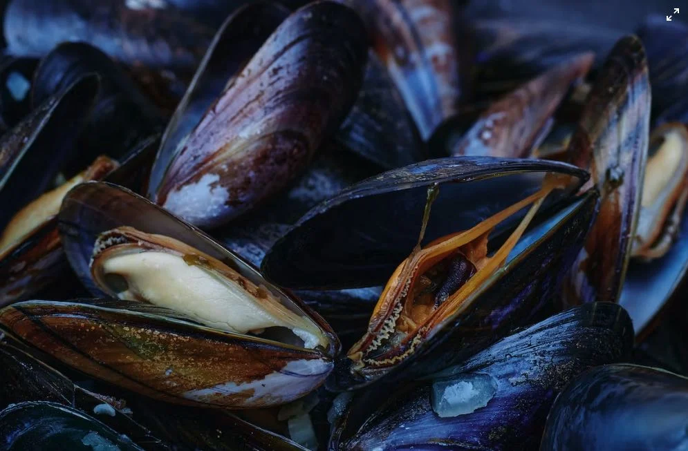 Cozze Cozze