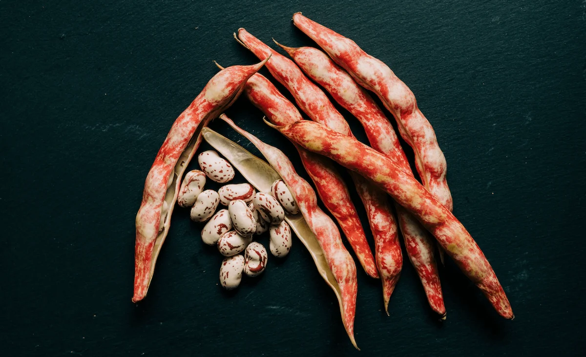 Fagioli borlotti