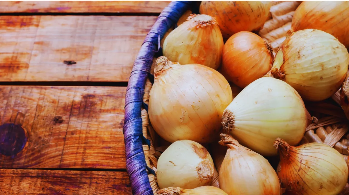 Le cipolle nella cucina siciliana: varietà, usi e piatti della tradizione
