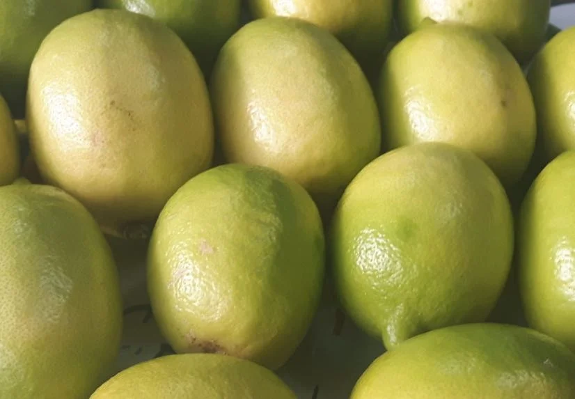 Limone Interdonato IGP