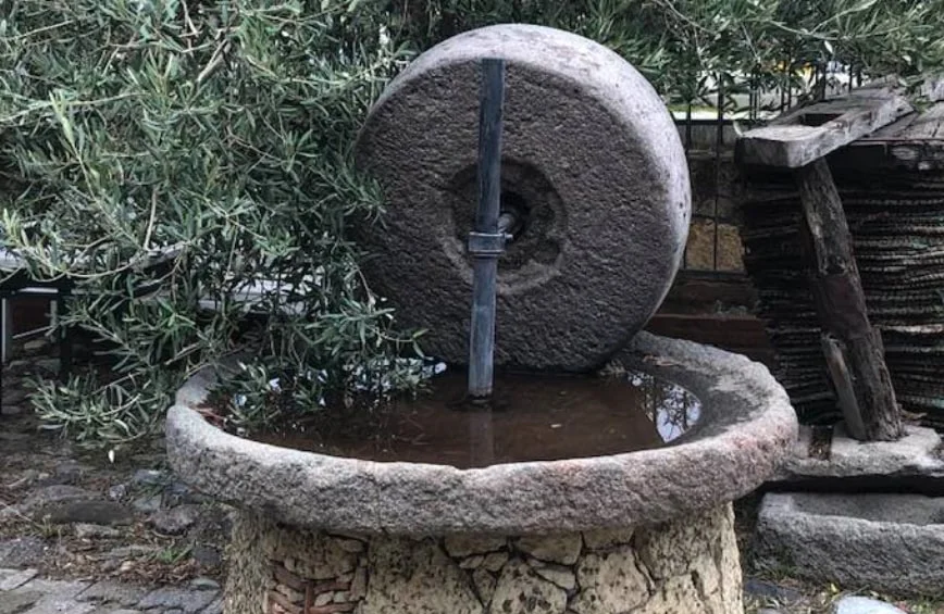 Olio extravergine di oliva Monte Etna DOP