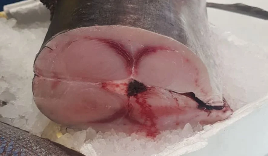 Swordfish: The King of Sicilian Tables