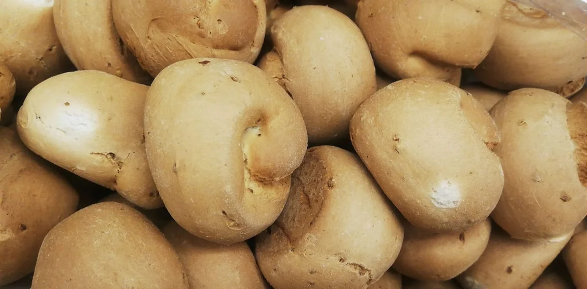 San Martino Biscuits: A Beloved Sicilian Treat Steeped in Tradition