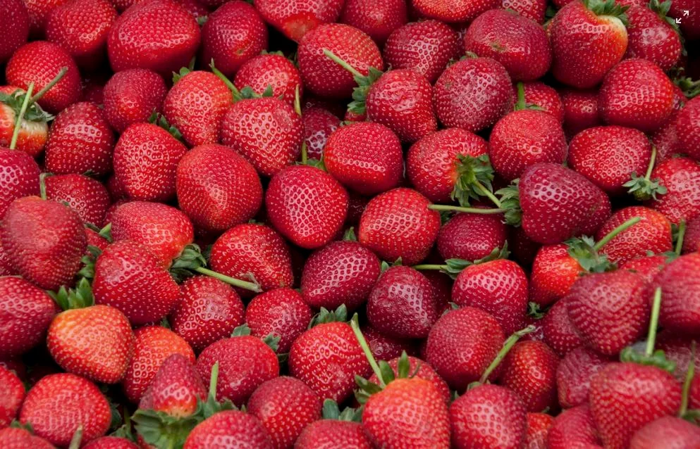 Marmellata di fragole: dolce tradizione di primavera