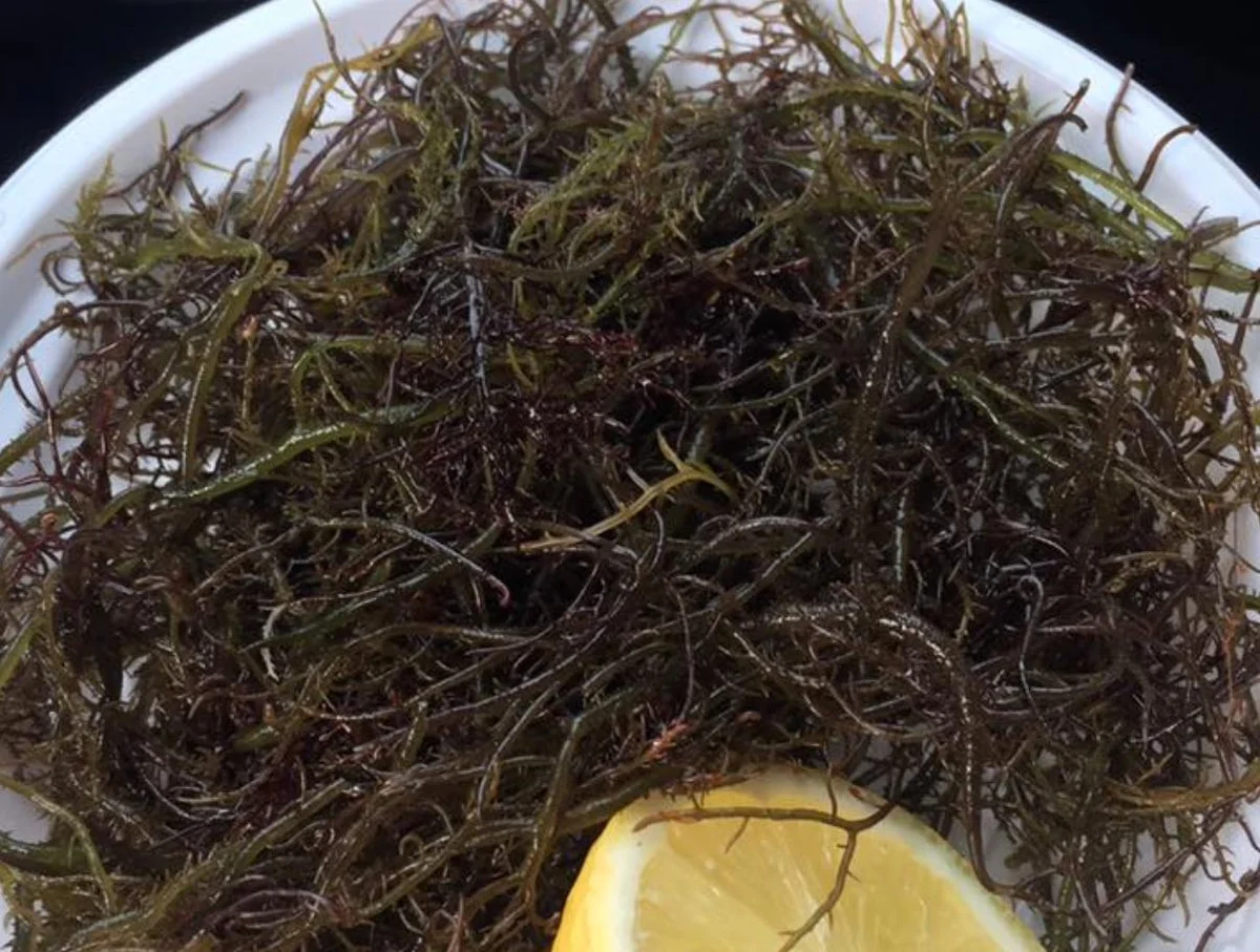 Mauru catanese: l’insalata di mare più autentica di Catania