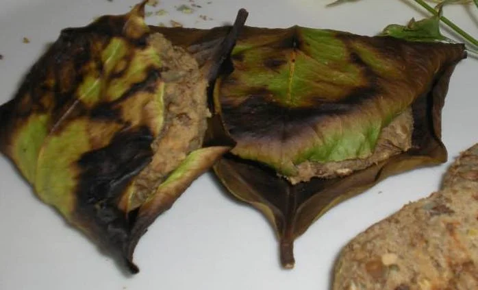 Polpette in foglia di limone: Squisita tradizione etnea