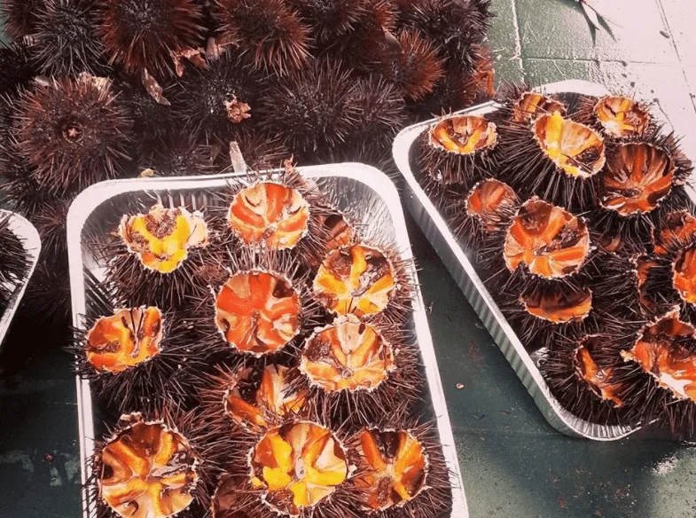 Ricci di mare col pane: l’essenza del mare in un morso