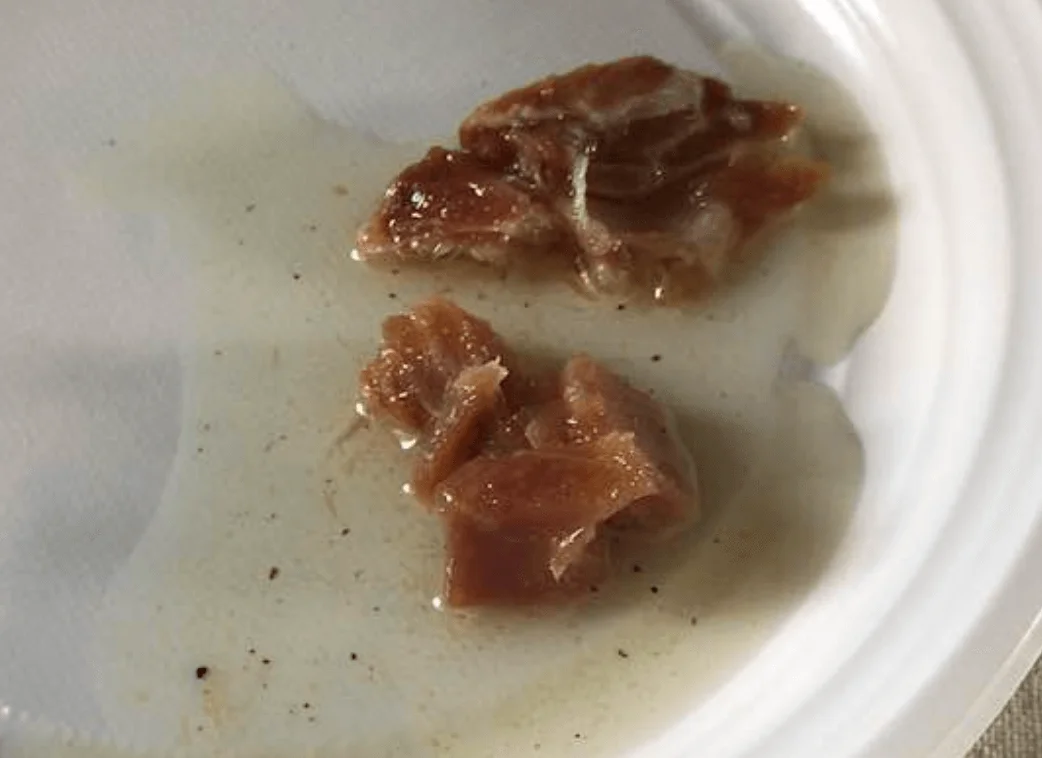 Tunnina salata con olio extravergine di oliva: Un antipasto siciliano da gustare